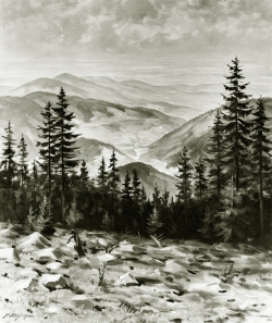 Schwarzwald - SW-Fotografie, Ölgemälde