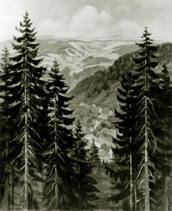 Triberg mit Nussbachtal - SW-Fotografie, Ölgemälde